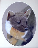 Link to our water colour painting gallery
